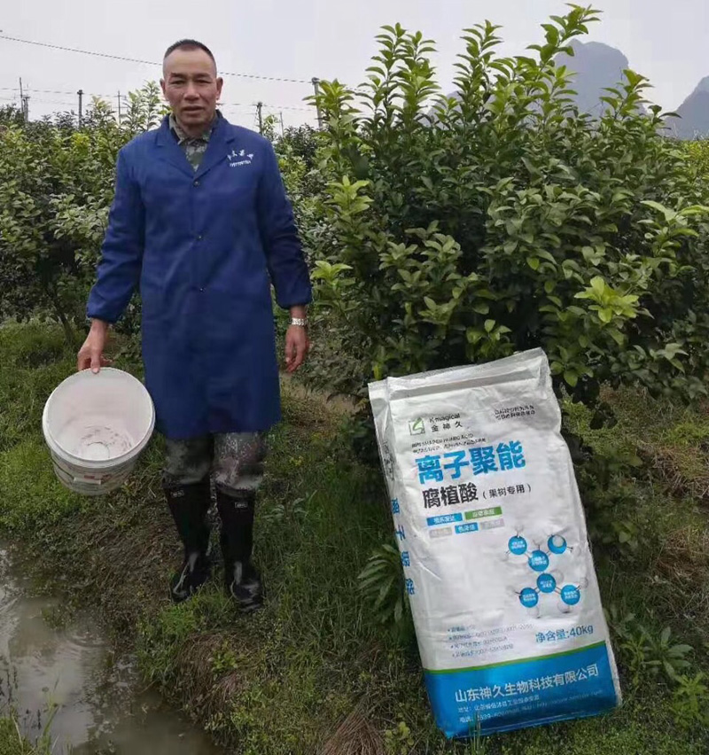 广西桂林沙糖桔试验基地，全年只撒施一种肥